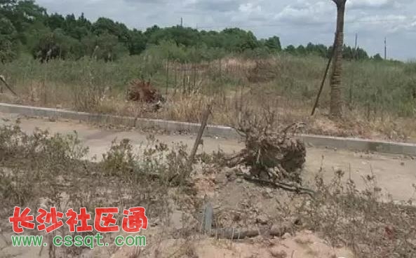 截圖